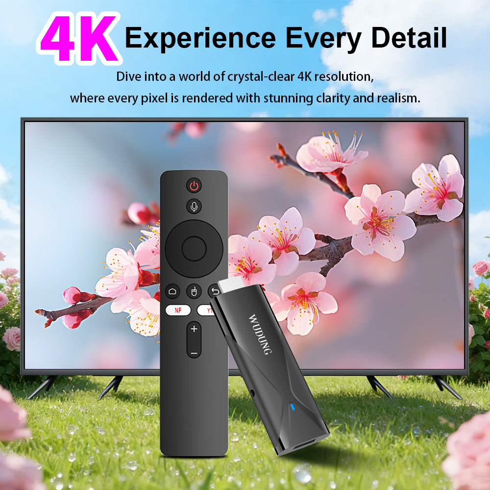 Netflix Home Cinema - WD08 PRO TV-Dongle Android10 Allwinner H313
